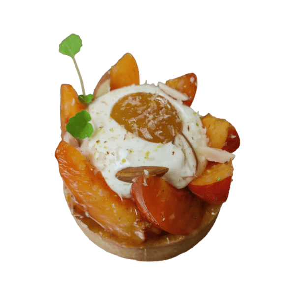 MOKKA Organic apricot tartlet 1